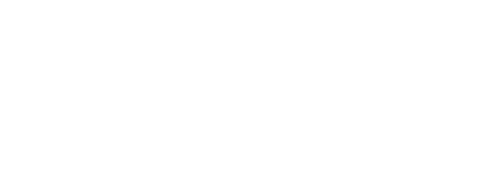 Notion Roots Logo